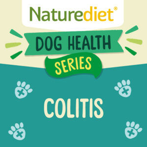 Food suitable for dog with colitis.