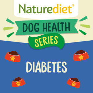 Can dogs get diabetes?