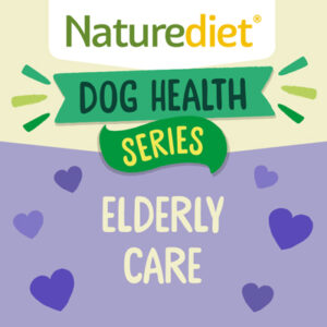 What food to feed an aging dog?