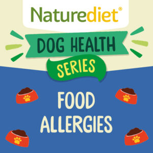 best food for dog with allergies and intollerances