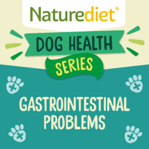 Dogs with gastrointestinal problems