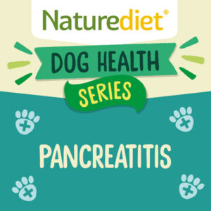 Pancreatitis in Dogs