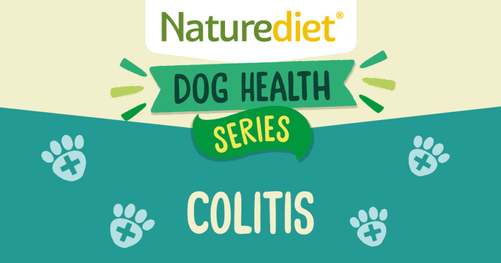 Colitis in dogs?