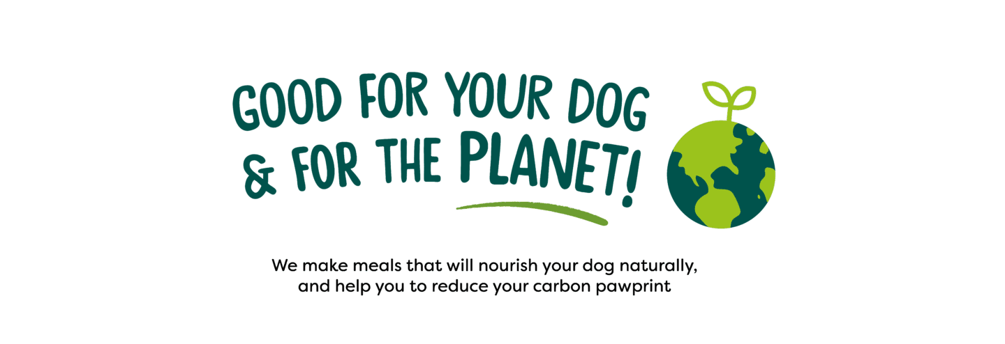 Good for your dog, good for the planet