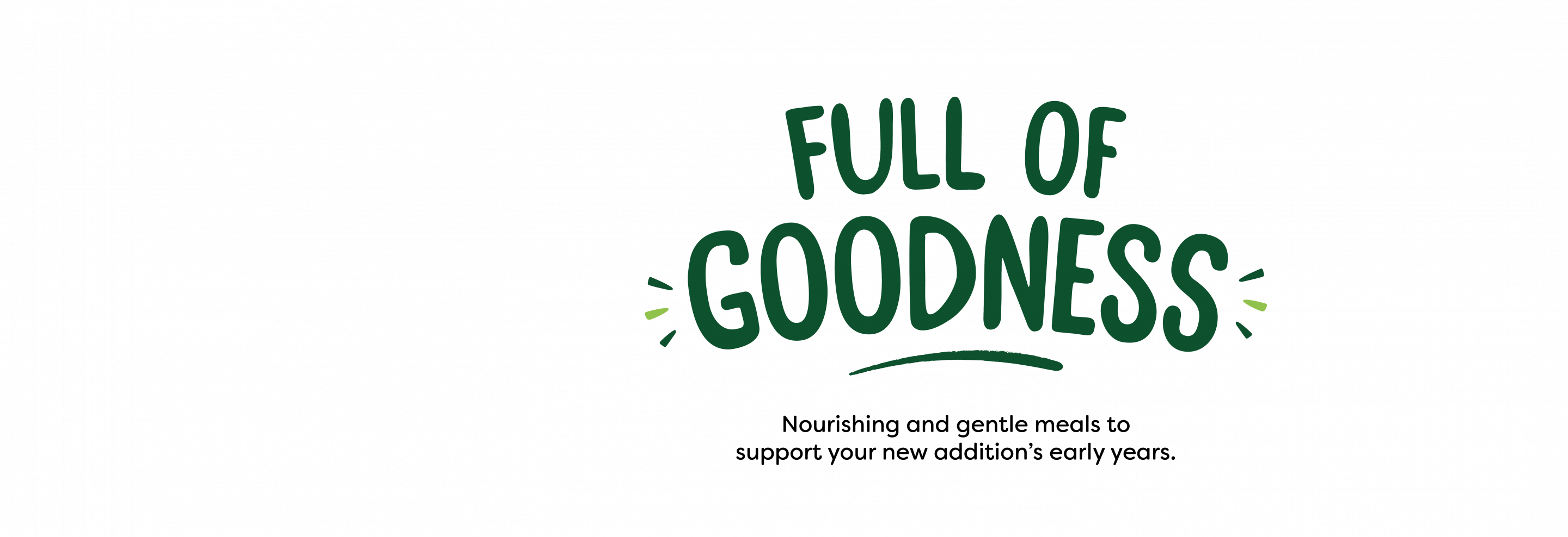 Puppy Food 100 Natural Naturediet