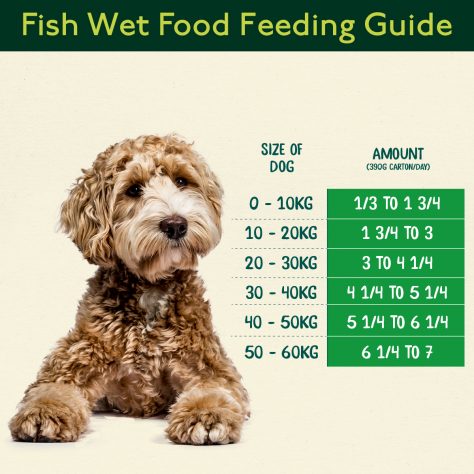 How much Naturediet Feel Good Adult Wet Dog Food 390g do I feed my dog?