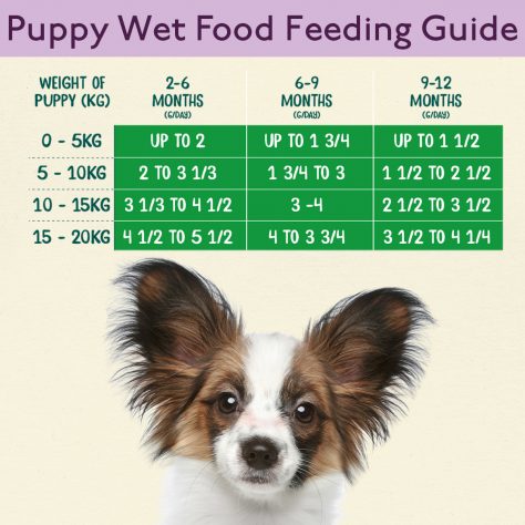 How much Naturediet Feel Good wet puppy 390g do I feed my dog?