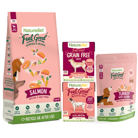 Salmon dog food bundle
