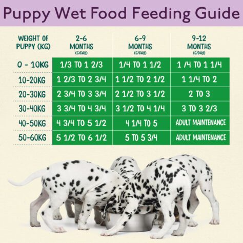 How much Naturediet Feel Good wet puppy 390g do I feed my dog?