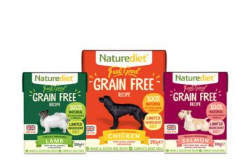 Grain Free Wet Dog Food