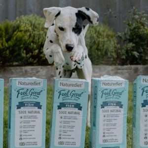 dalmation with Feel Good Fish wet food