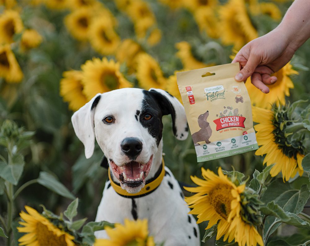 Subscribe and save on dog food and treats Subscribe and save on dog food and treats
