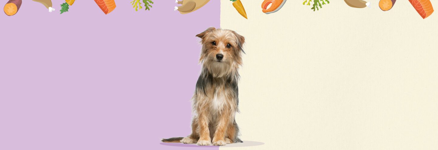 Naturediet 100% natural dog food