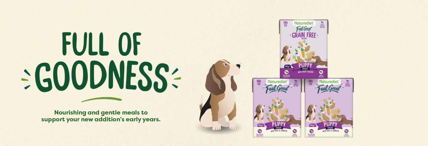 Puppy Food Banner