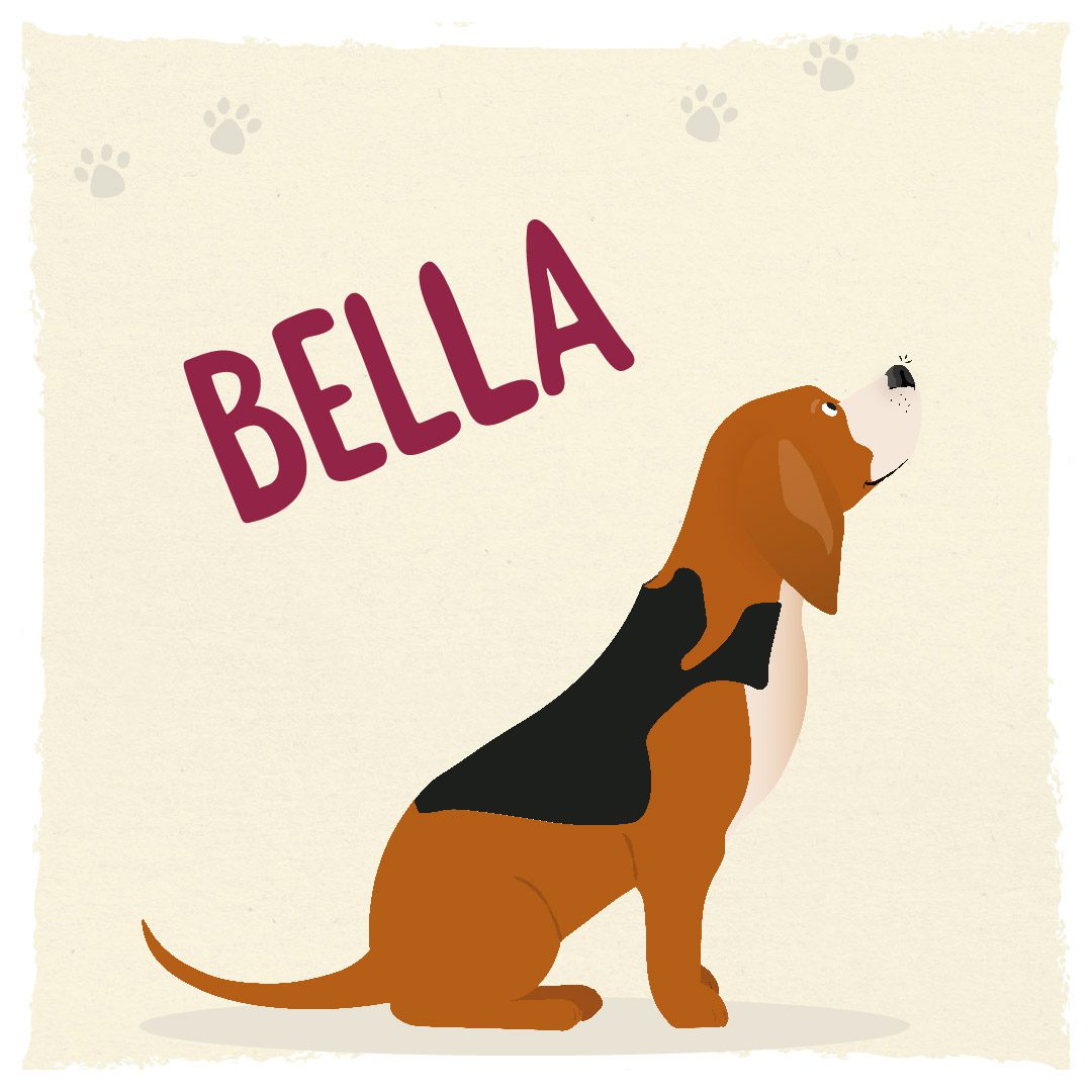 Meet Humphrey and Friends - Bella the Beagle