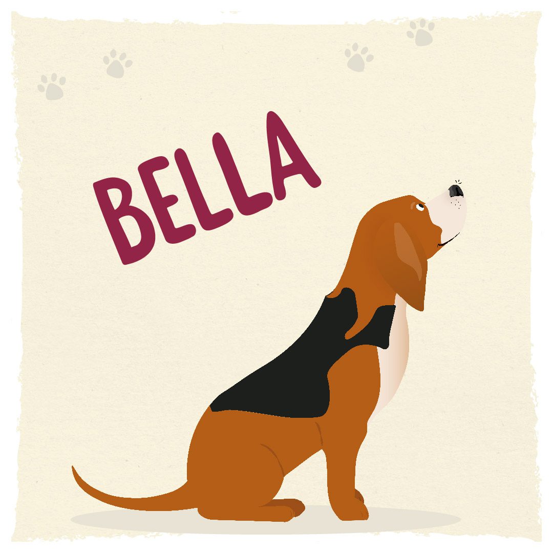 Meet Humphrey and Friends - Bella the Beagle Meet Humphrey and Friends - Bella the Beagle