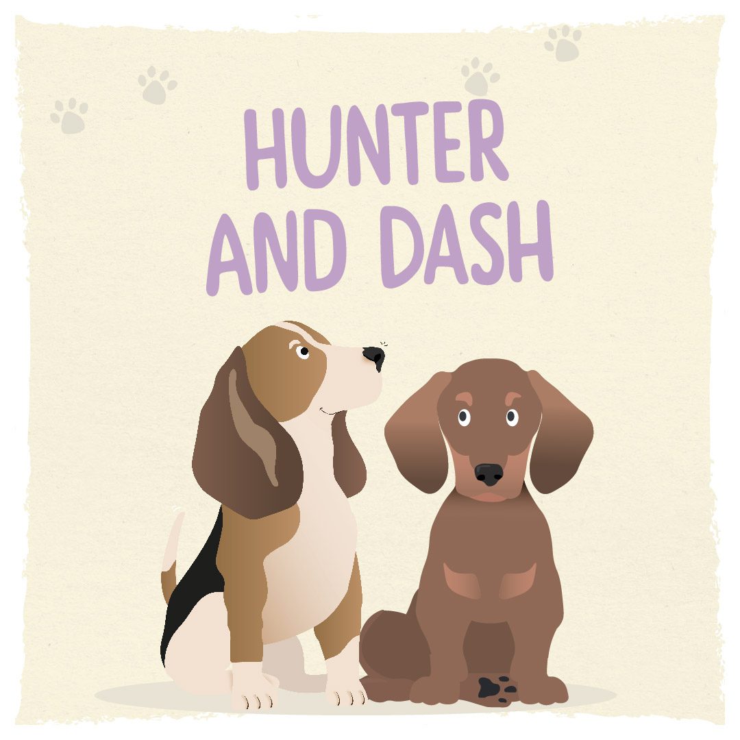 Meet Humphrey and Friends - Hunter and Dash our playful puppies