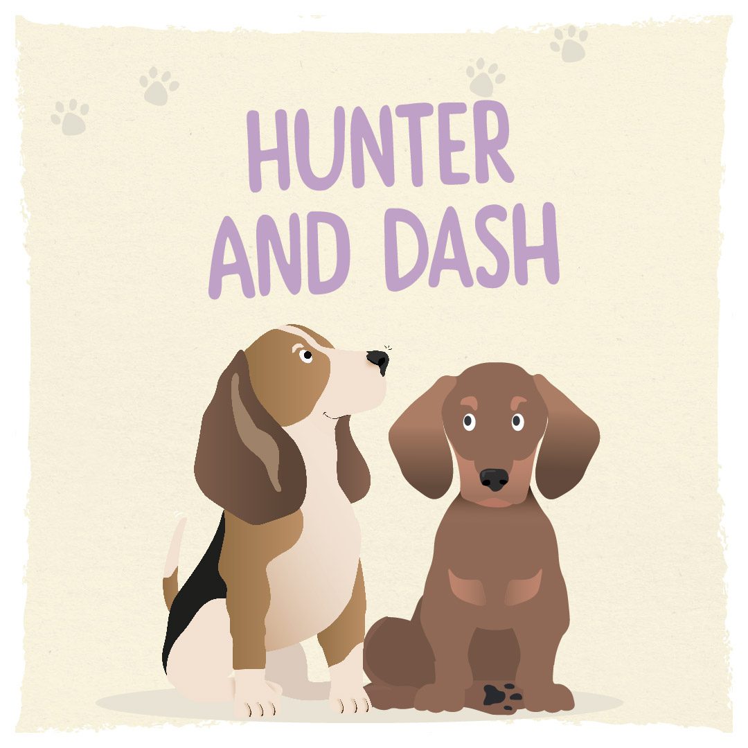 Meet Humphrey and Friends - Hunter and Dash our playful puppies Meet Humphrey and Friends - Hunter and Dash our playful puppies