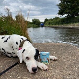 Leo the Dalmatian with a Carton of Naturediet Feel Good Fish
